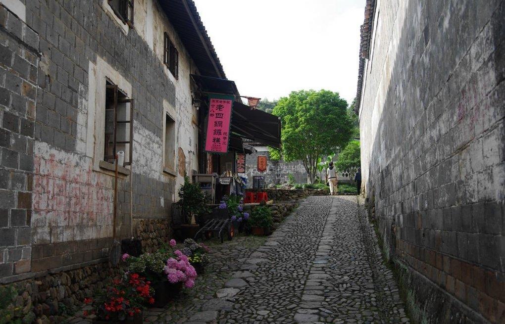 虫虫助手下载